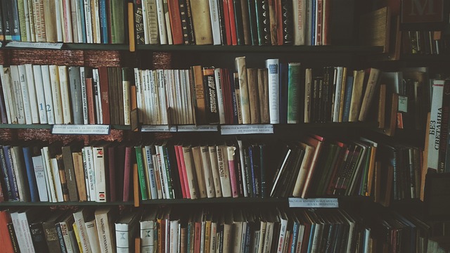 bookcases, books, bookshelves